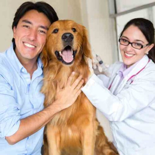 Preventing Rabies and Tetanus